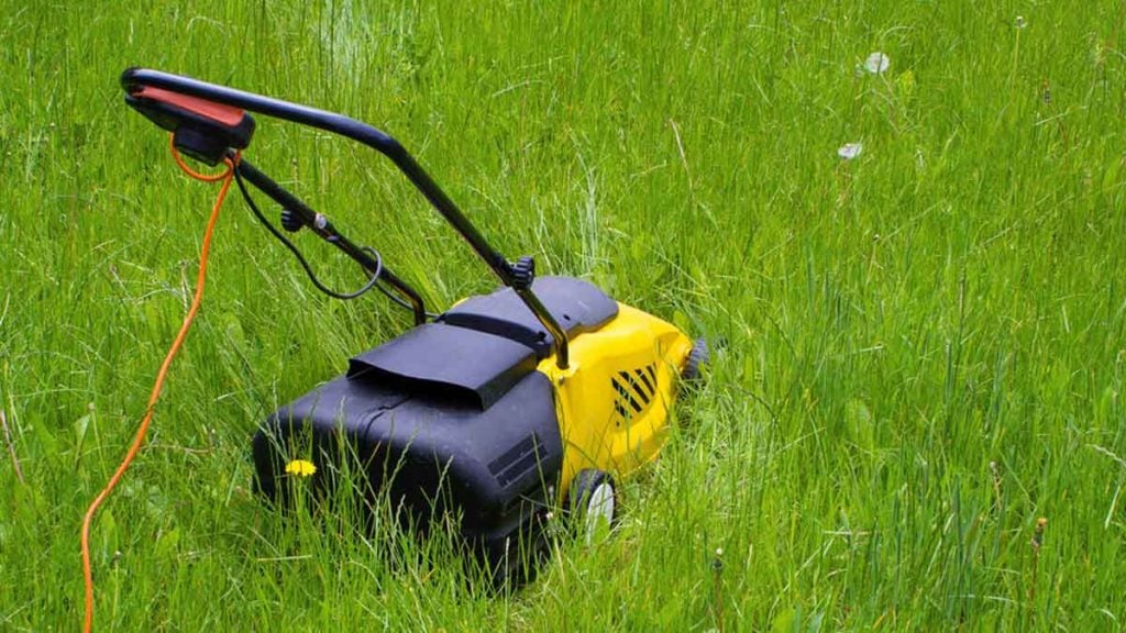 Il sera désormais formellement interdit de tondre la pelouse entre ces deux horaires à partir du 4 juin dans ces 23 départements français